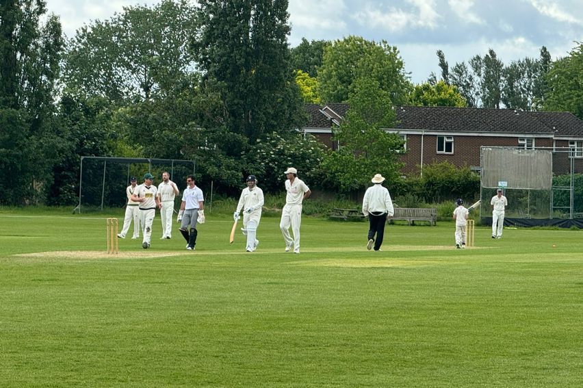 Cricket For Tess 2024 1