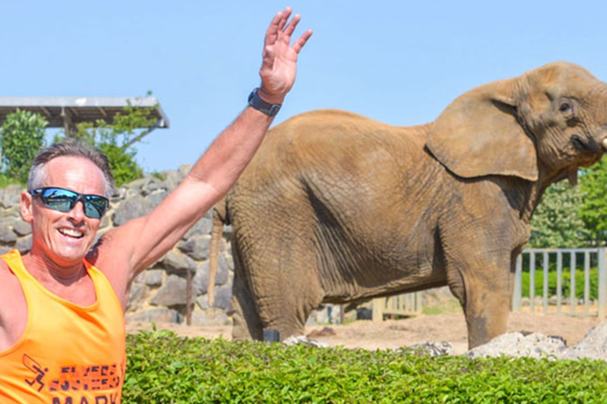 Colchester Stampede Event Listing